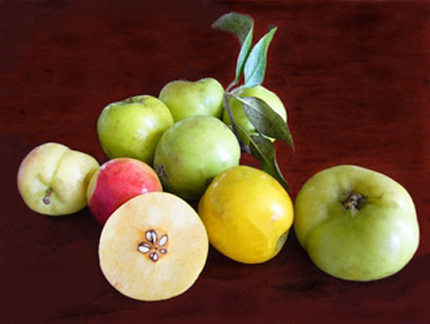 Kéo thả ảnh vào nội dung biên tập