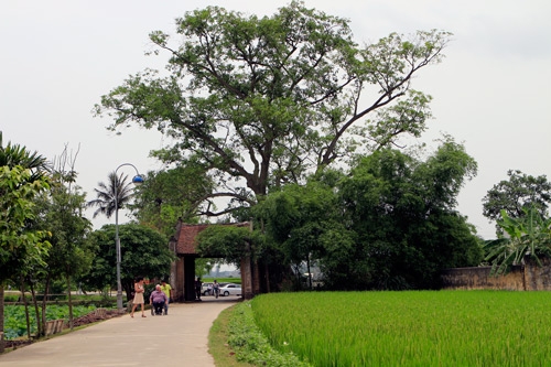 Cổng làng