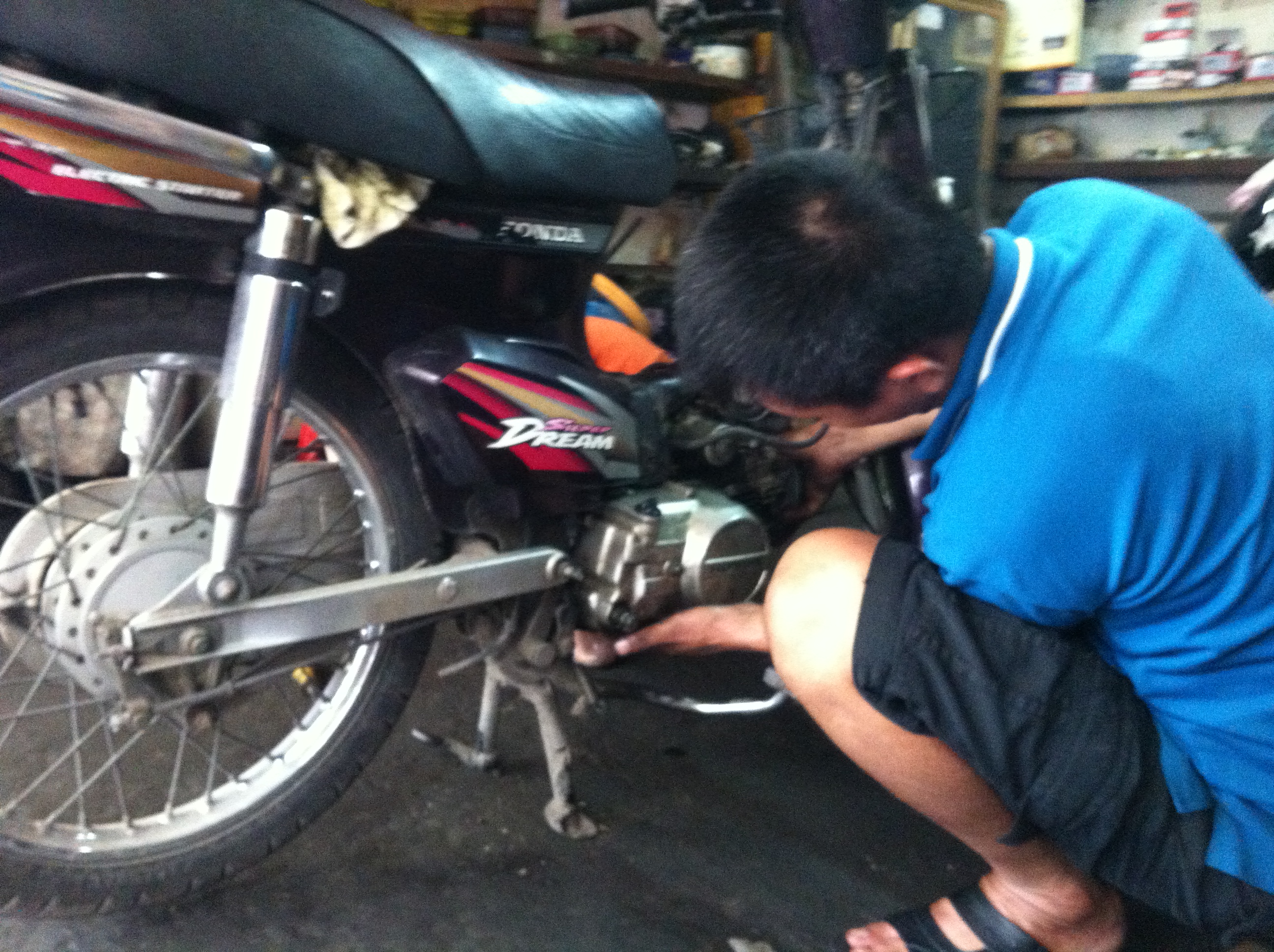 “Giấc mơ màu mận chín” lại thành “mốt”