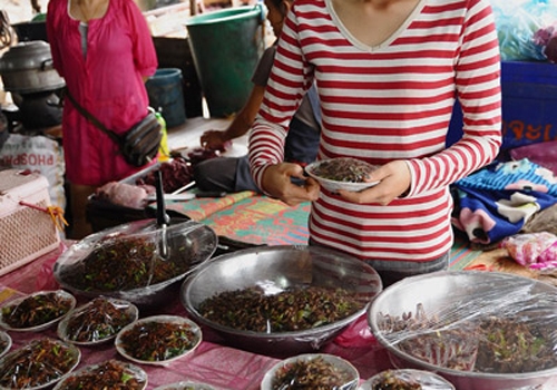 Việt Nam Xanh - Khi sâu bọ là 'sơn hào hải vị'
