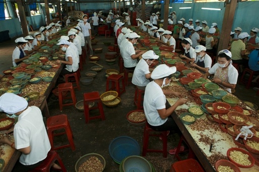 Doanh nghiệp xã hội: Vì con người hơn là lợi nhuận