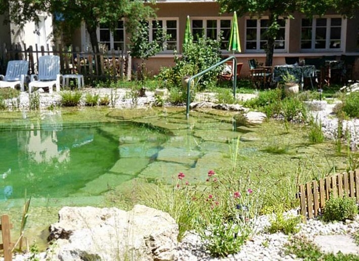 natural pool cost naturally these pools can cost fraction of the price conventional pool to build and will definitely be more fun swim in share these awesome with your reasons why natural swimming pools are awesome true activist natural pool cost naturally these pools can cost fraction of the price conventional pool to build and will definitely be more fun swim in share these awesome with your reasons why natural swimming pools are awesome true activist