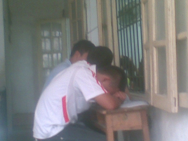 Ngán ngầm lò luyện thi đại học khối C - Ảnh 1