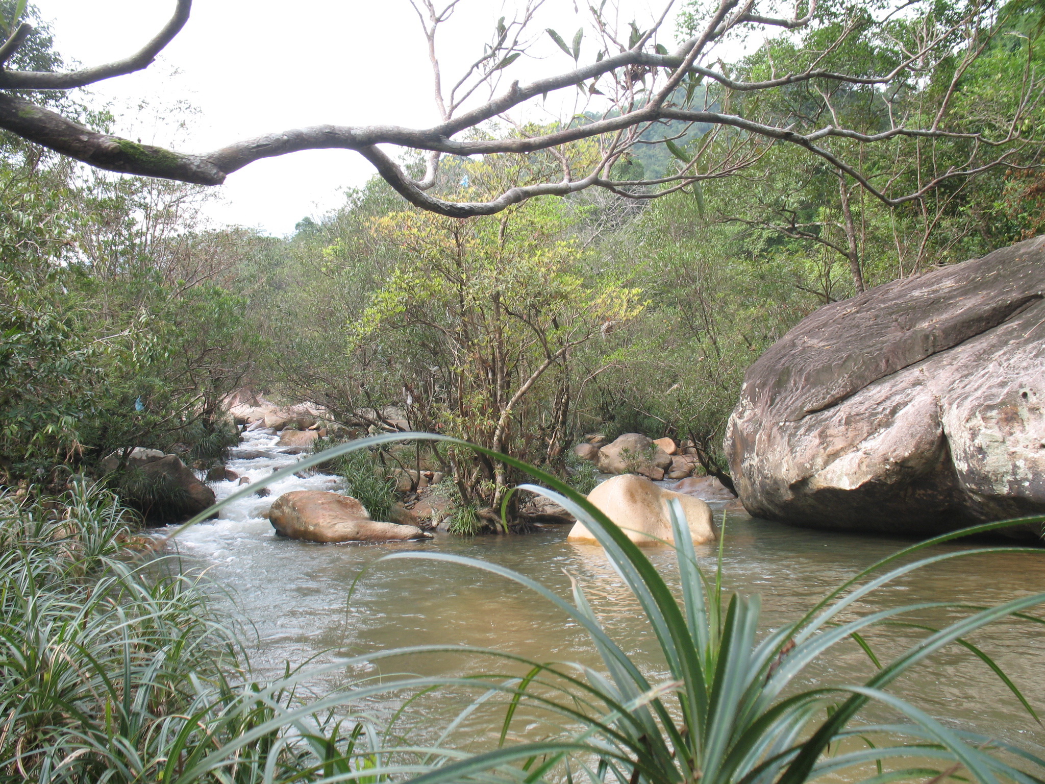 Ba Hồ – Nét đẹp nguyên thủy | Các địa điểm du lịch hấp dẫn | Các thành phố du lịch hấp dẫn
