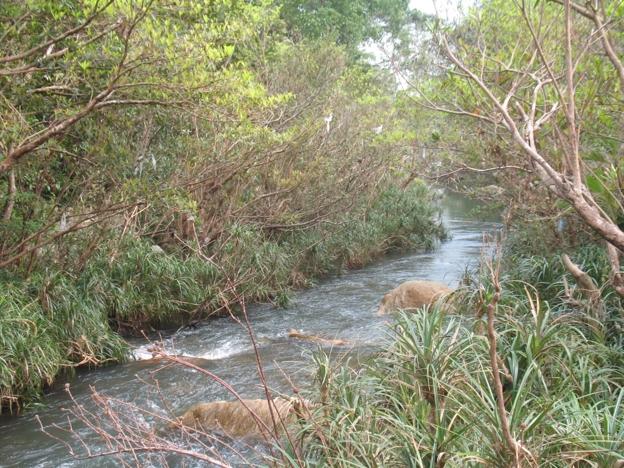 Ba Hồ – Nét đẹp nguyên thủy | Các địa điểm du lịch hấp dẫn | Các thành phố du lịch hấp dẫn