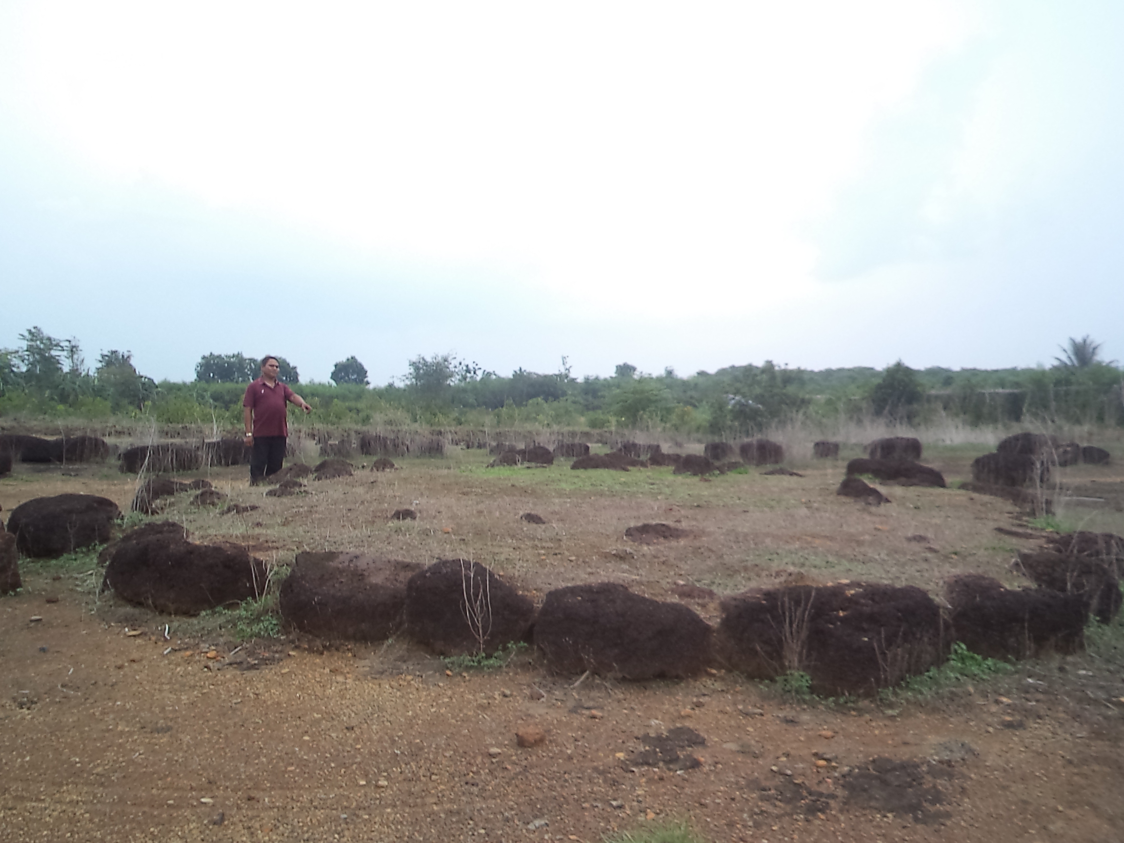 “Bãi Tiên” và truyền thuyết người hóa đá ở Bình Phước