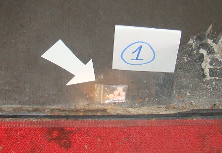 Cảnh sát đột kích vũ trường New Sài Gòn